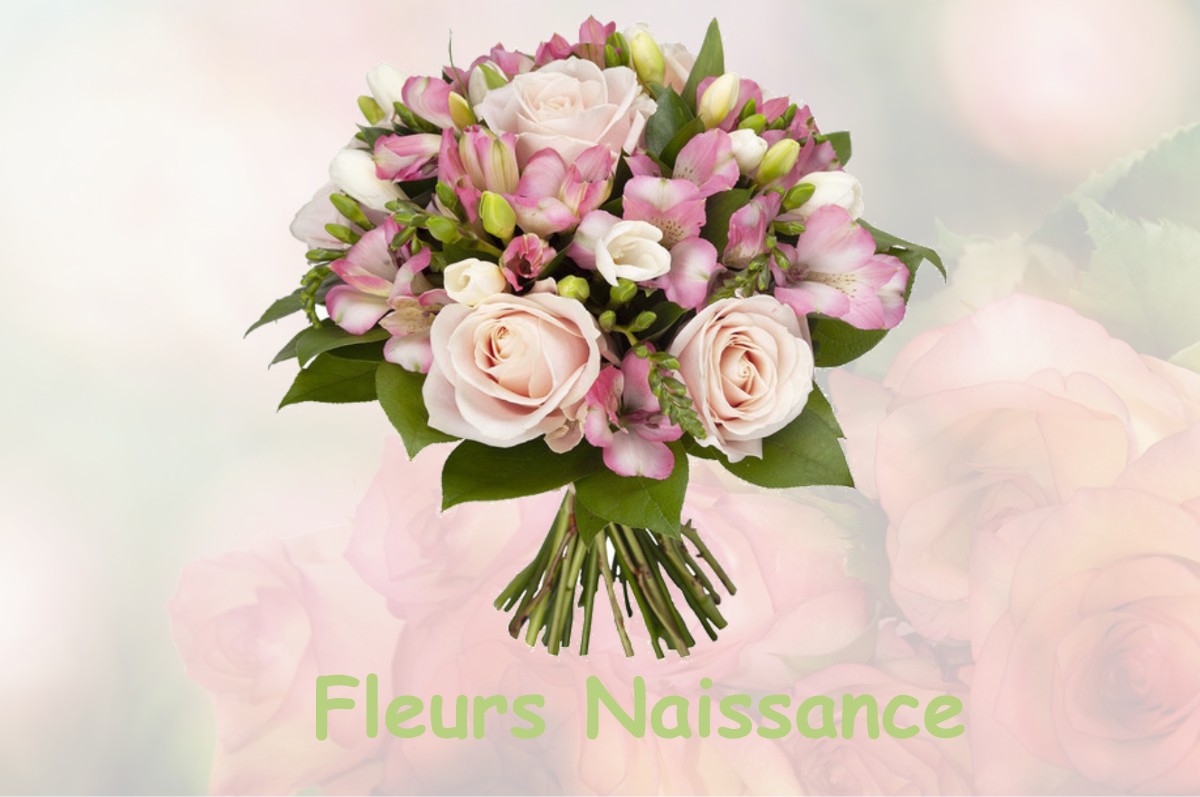 fleurs naissance BUSSIERE-SAINT-GEORGES